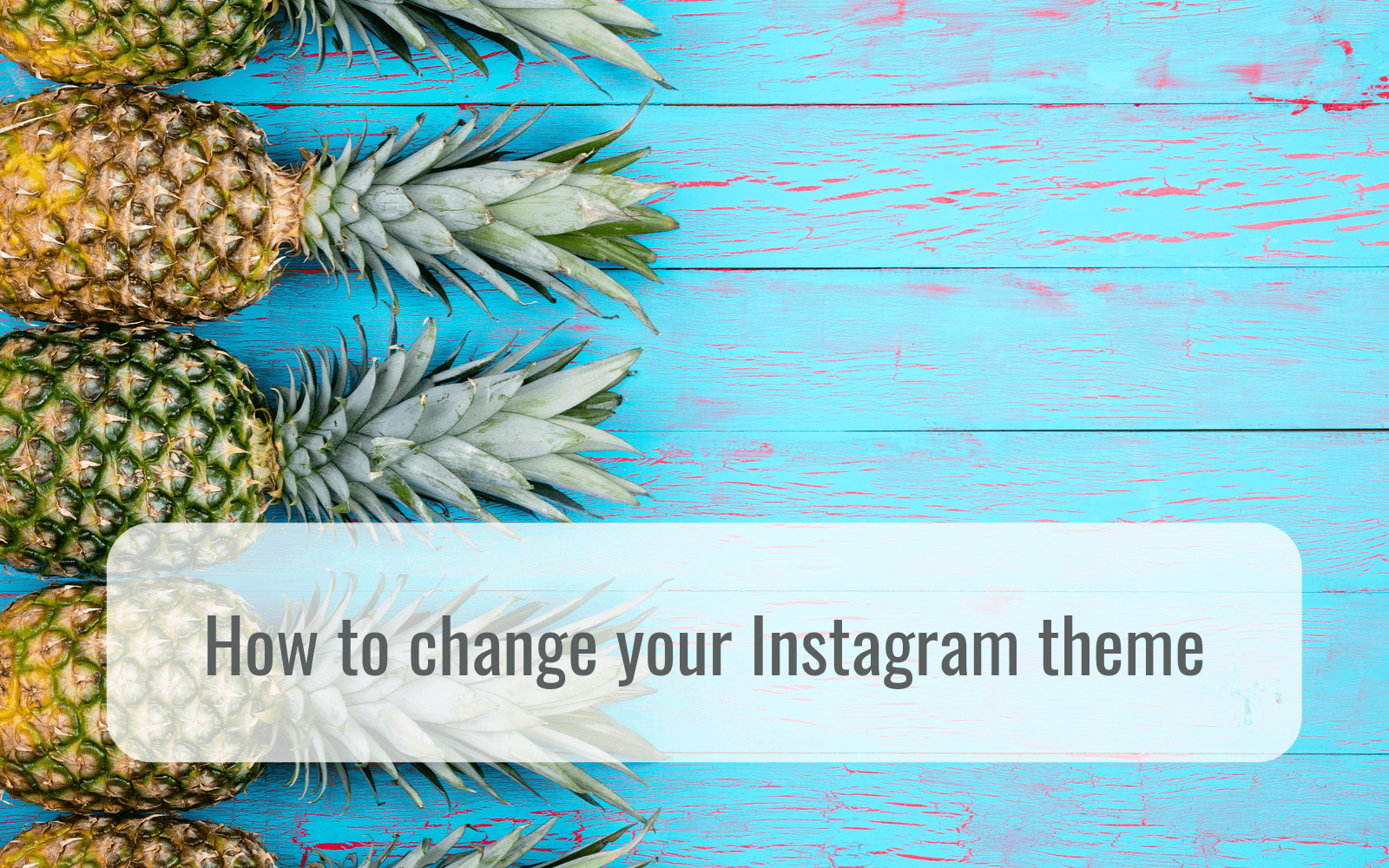 hello media how to change your Instagram theme posts social media