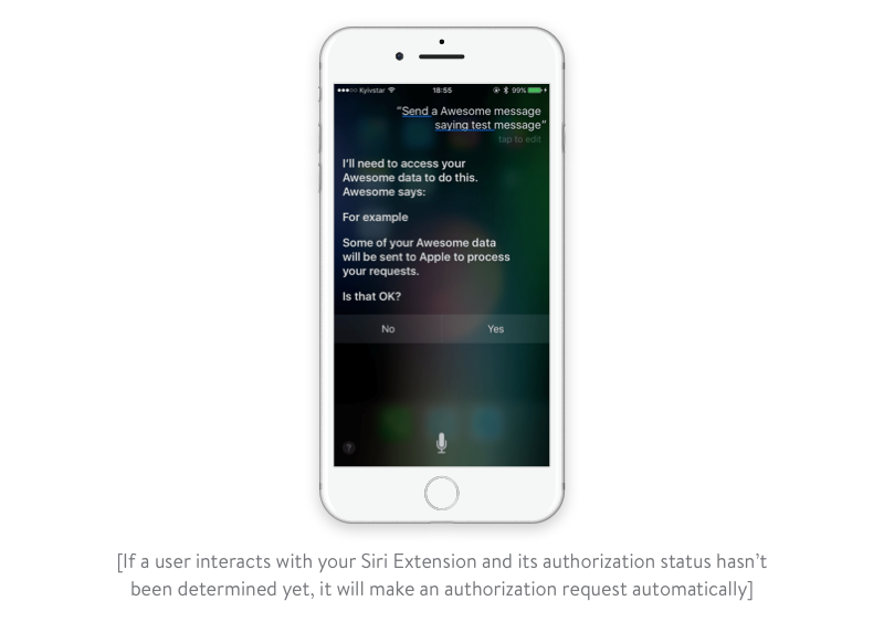 requesting authorization automatically siri extension