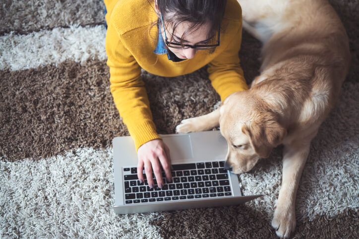 remote worker with dog