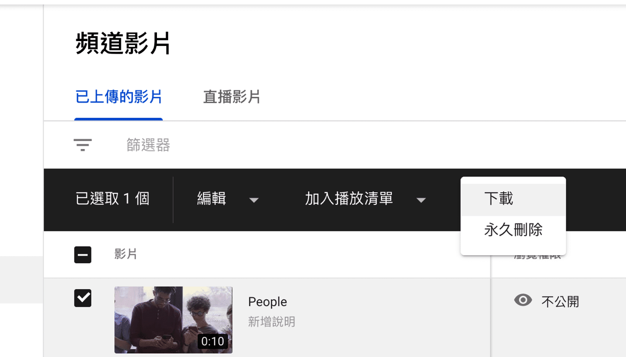 YouTube 臉部模糊處理