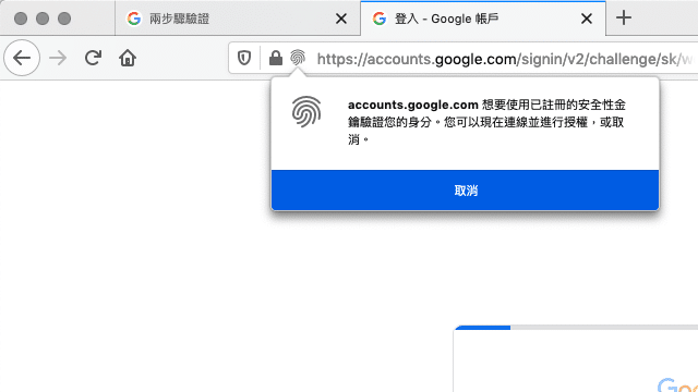 Google 進階保護計劃