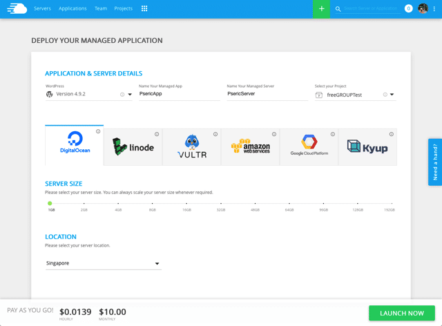 Cloudways WordPress Hosting