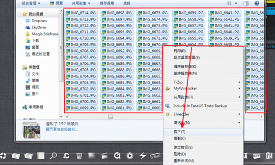 [教學] 如何快速全選子資料夾中特定的所有檔案類型？