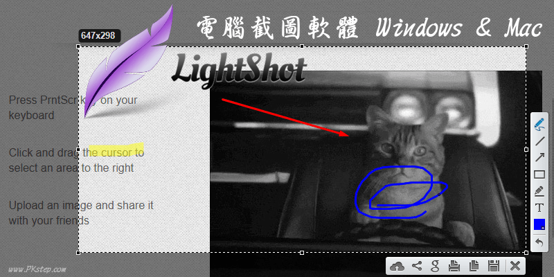 Lightshot_screenshots_download