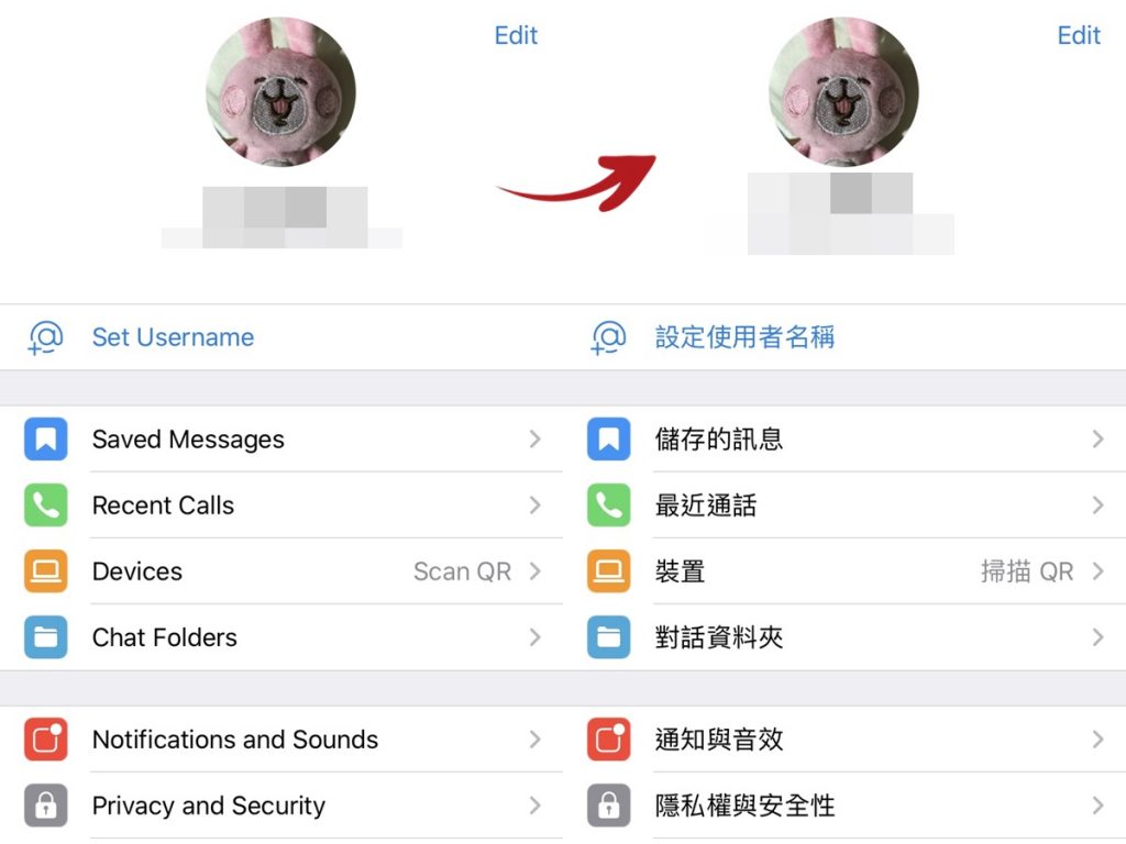 telegram 轉中文3