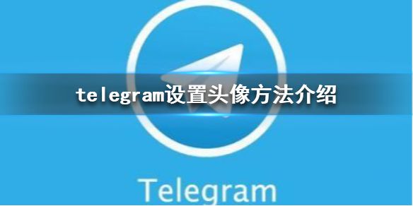 telegram头像14