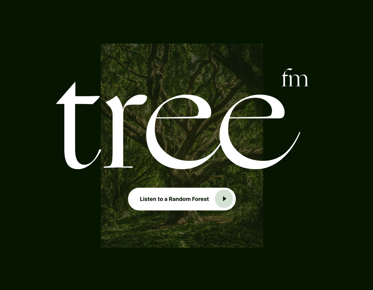 tree.fm