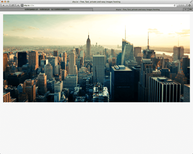 drp.io 免費、快速的圖片上傳分享服務