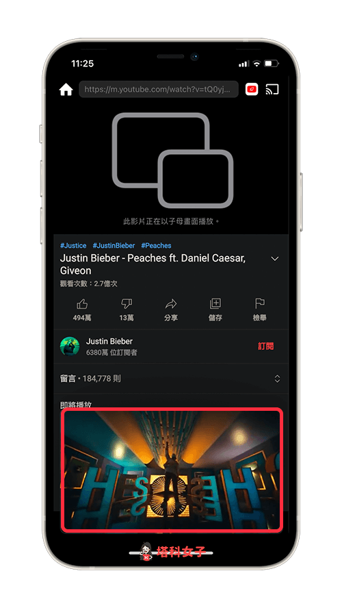 Tube Browser Pro App 啟用子母畫面功能