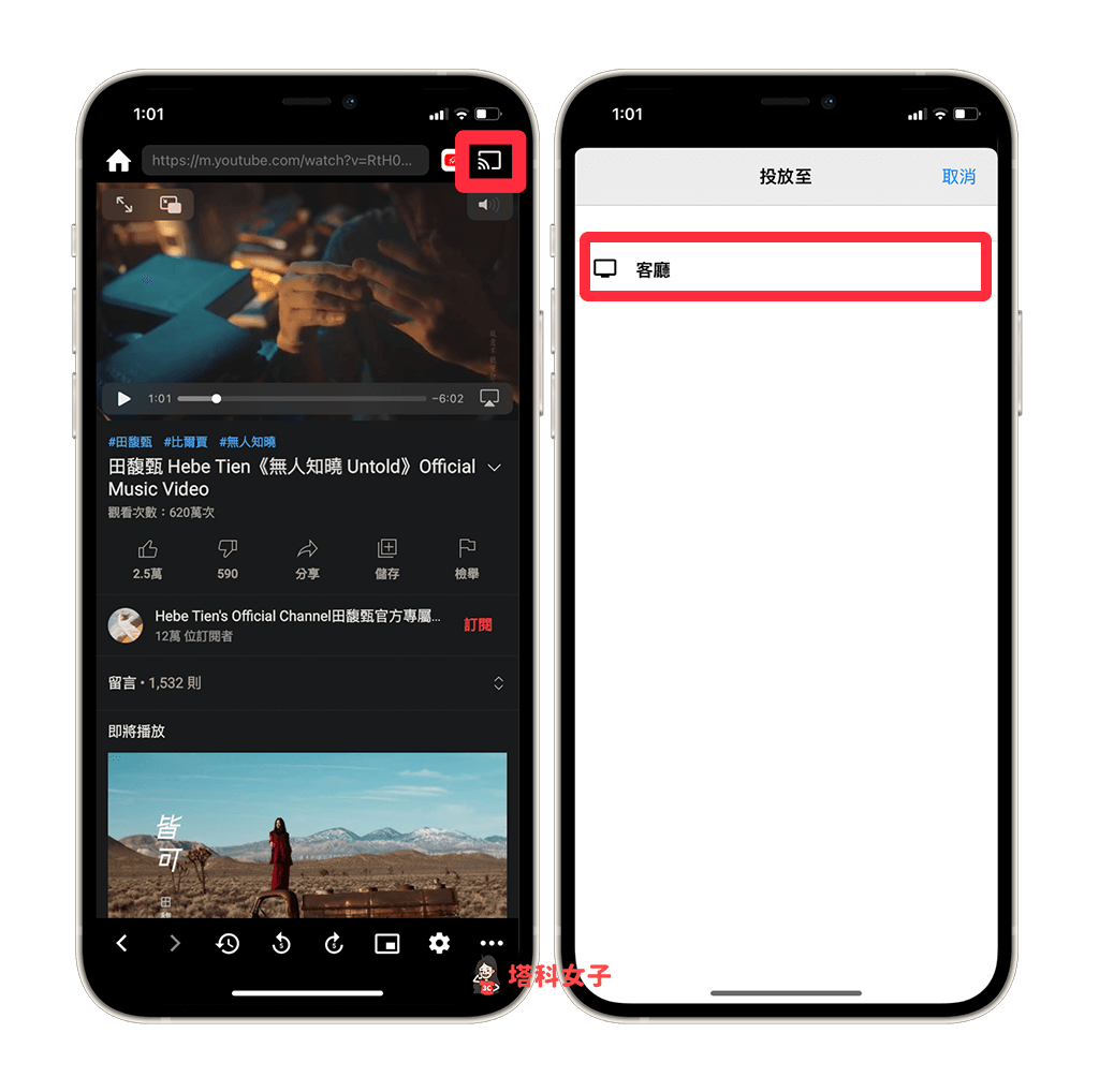 Tube Browser Pro App：一鍵投放 Chromecast