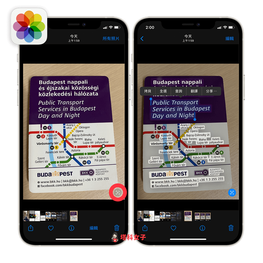 開啟 iPhone 照片，點選右下角的「原況文字」圖示