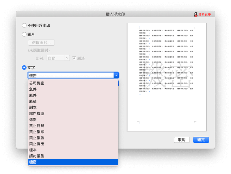 Word 新增文字浮水印：文字內容設定