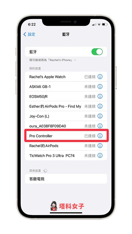 iPhone 與 Switch Pro 手把配對連線：確認已連線