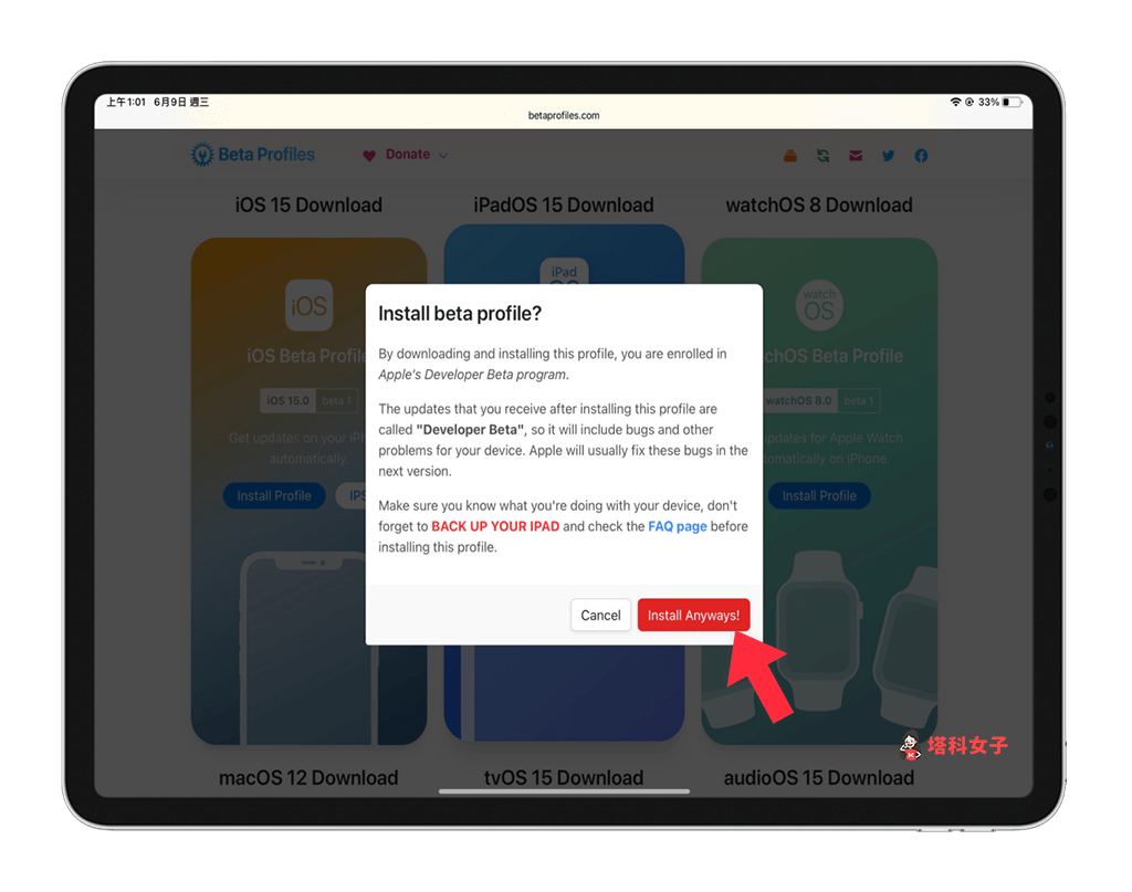 iPadOS 15 Beta 描述檔下載：點選 Install anywat