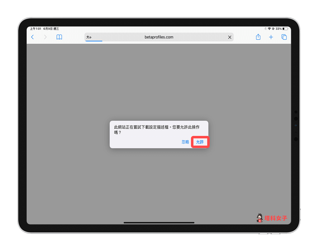 iPadOS 15 Beta 描述檔下載：點選 允許