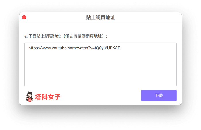 HitPaw Video Converter 影片下載：貼上影片連結