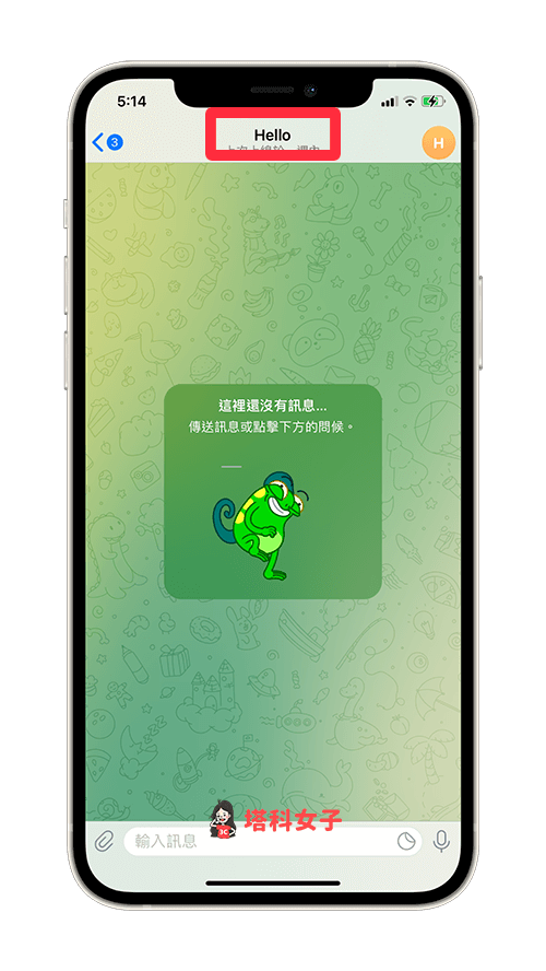 Telegram刪除聯絡人 (iOS)：開啟聊天室，點選帳號名稱