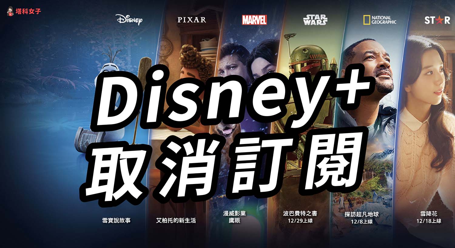 Disney+ 取消訂閱教學，快速將 Disney Plus 取消自動續訂