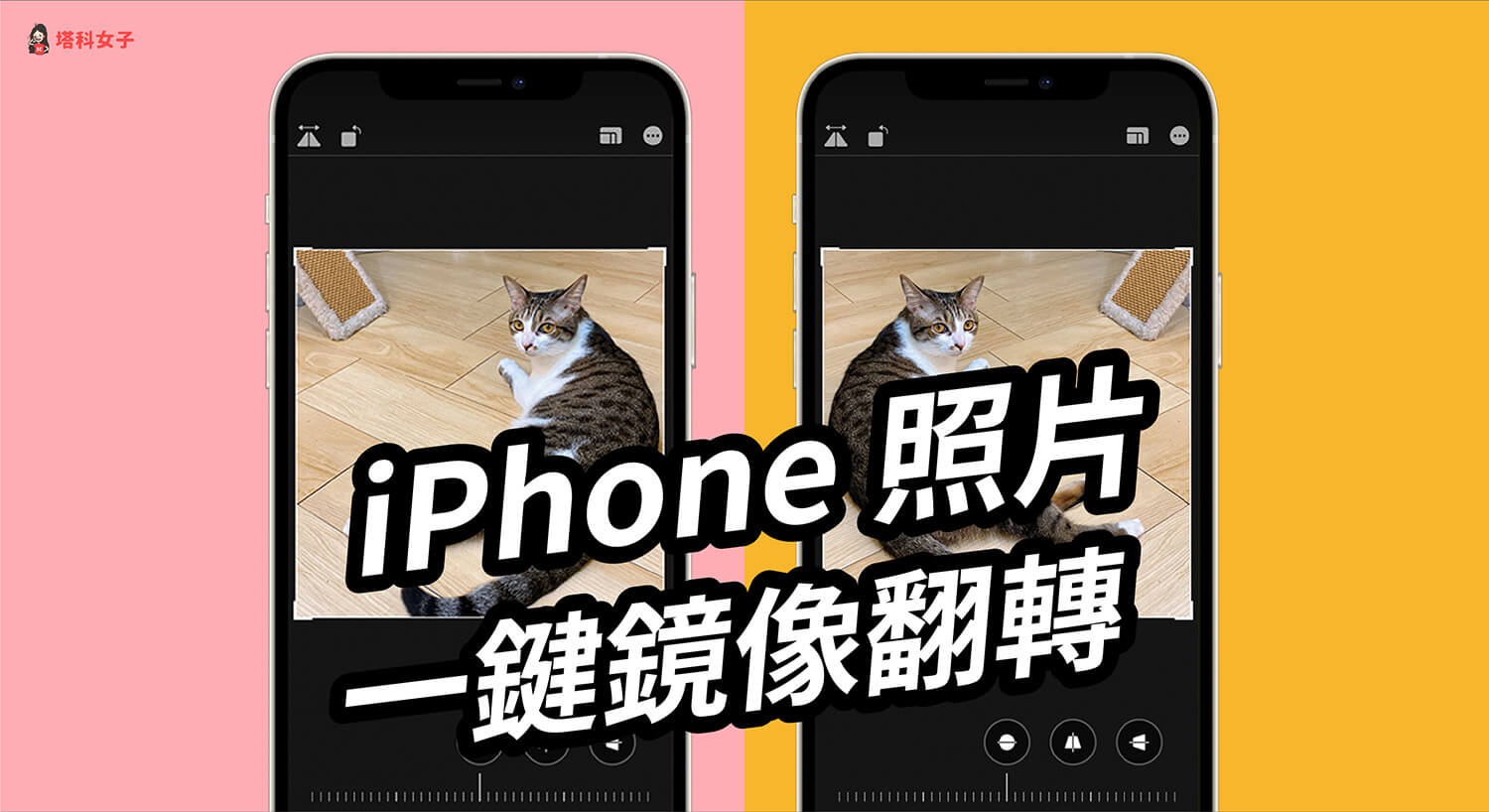 iPhone 照片如何鏡像翻轉、左右相反？教你用 iOS 內建功能編輯