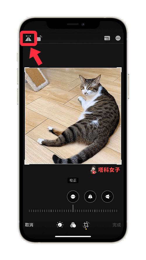 iPhone 照片如何鏡像翻轉、左右相反：點選左上角的三角形