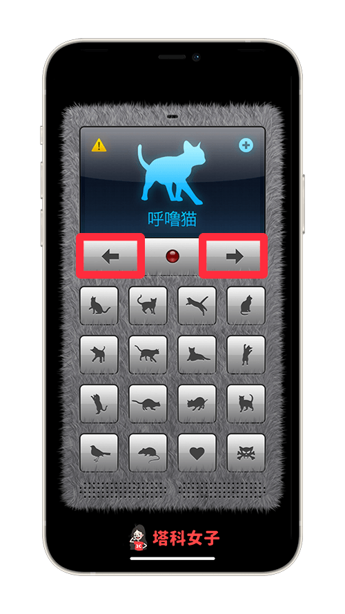 貓叫聲 App「人貓交流器」：選擇貓咪種類
