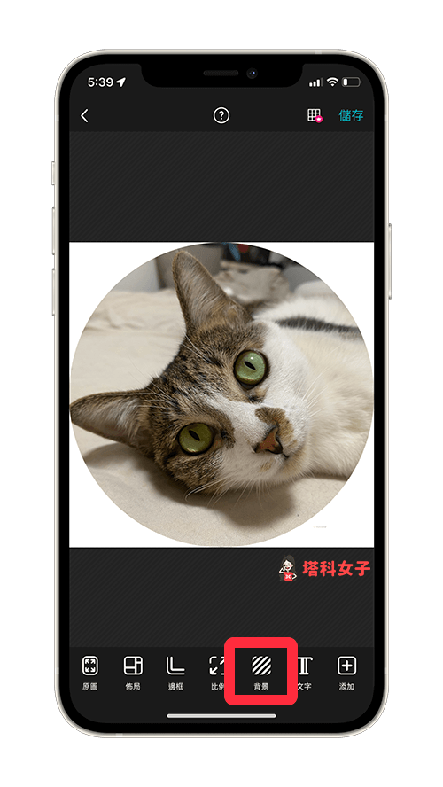 照片裁切 App《PhotoGrid》裁剪圓形、方形、愛心等各種形狀與比例 - Android APP, iOS APP, iPhone 照片, 照片 App, 照片編輯 App, 照片裁切 App - 塔科女子