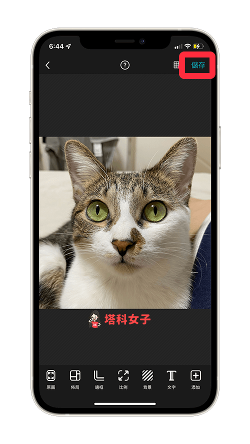 照片裁切 App《PhotoGrid》裁剪圓形、方形、愛心等各種形狀與比例 - Android APP, iOS APP, iPhone 照片, 照片 App, 照片編輯 App, 照片裁切 App - 塔科女子