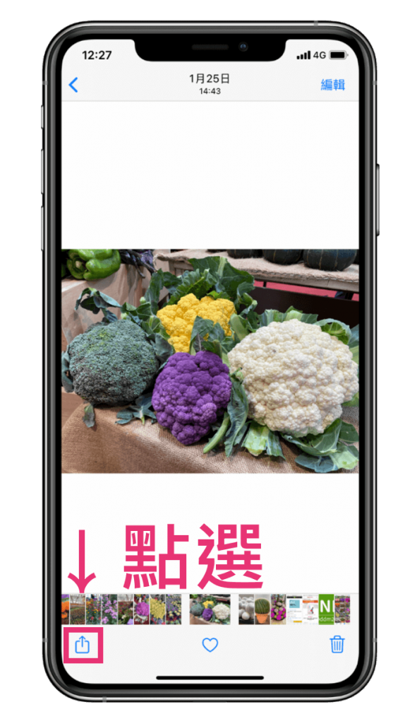 iPhone 隱藏照片教學，用內建功能隱藏 iPhone 照片/影片 - 點選分享