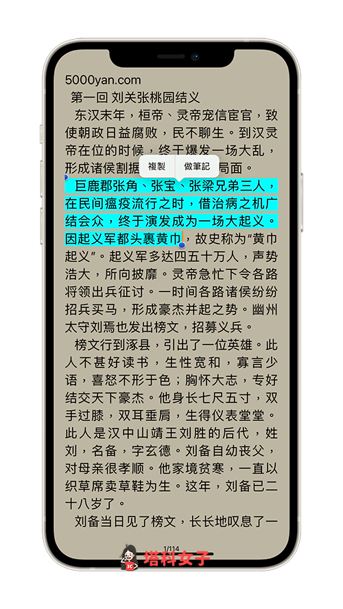 Epub 閱讀器 App 5 支援匯入 epub、txt、chm、PDF 多種電子書格式 - iOS APP, 電子書閱讀器 - 塔科女子