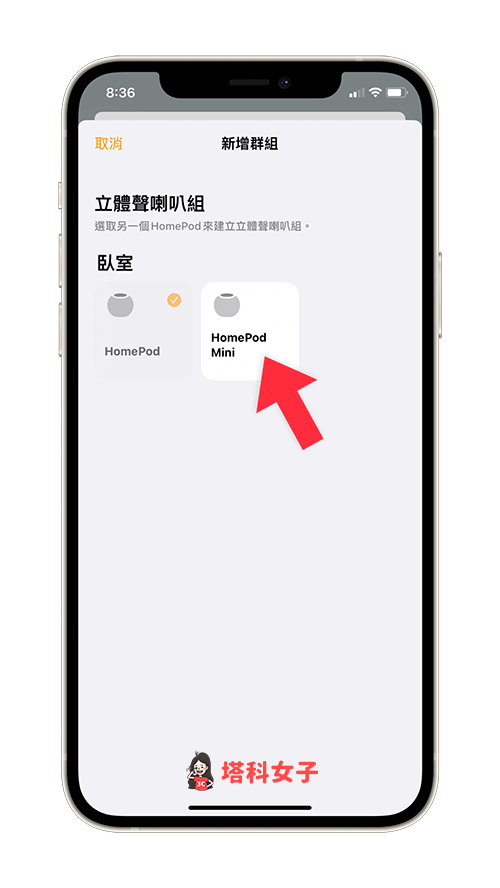 HomePod / HomePod Mini 立體聲：點選另一部 HomePod