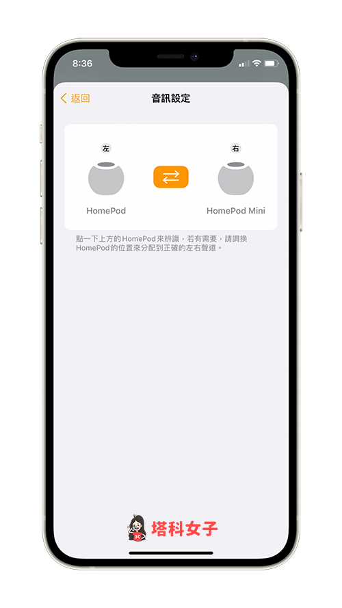 HomePod / HomePod Mini 立體聲：確認左右聲道