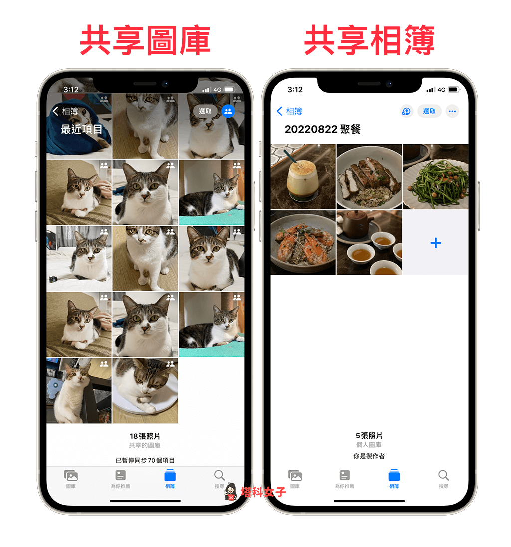 iCloud 共享圖庫 vs iCloud 共享相簿
