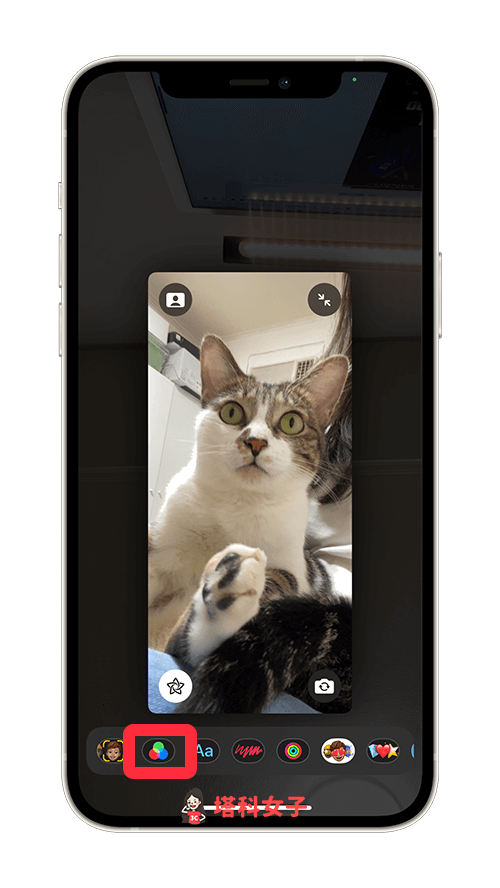 FaceTime 濾鏡特效：點選「濾鏡」