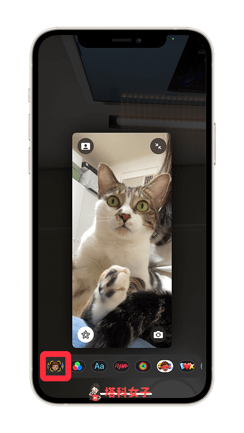 FaceTime 濾鏡特效：點選「Memoji」