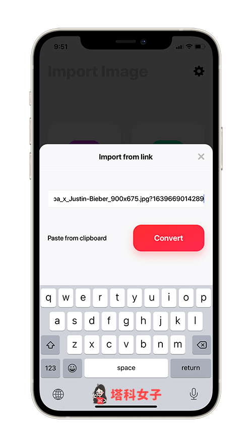 圖片格式轉換器 App：貼上圖片連結並點選 Convert
