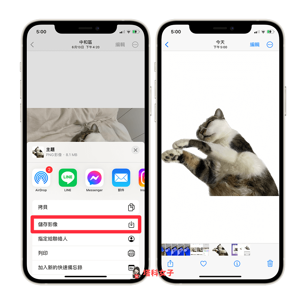 iOS 16 為 iPhone 照片摳圖去背：儲存去背照片