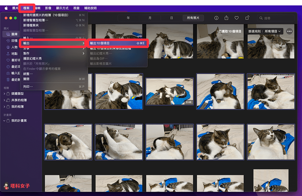 Mac 匯出、輸出照片：選取照片 > 檔案 > 輸出