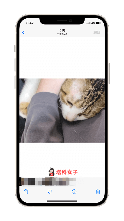 Twitter 製作 GIF 動圖：GIF 將自動儲存到 iPhone 照片