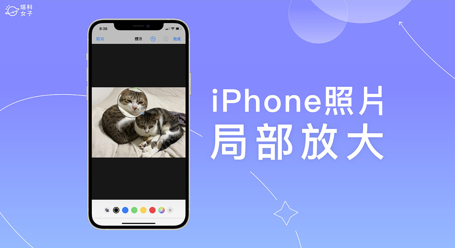 iPhone 局部放大及局部截圖怎麼用？照片內建「放大鏡」教學