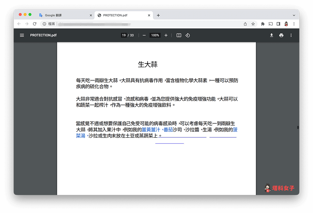 Google 翻譯 PDF 文件：打開 PDF