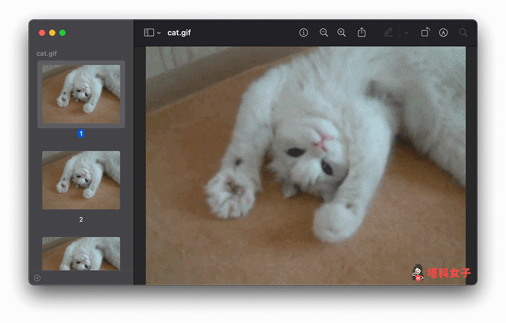 Mac 預覽程式無法播放 GIF 動圖