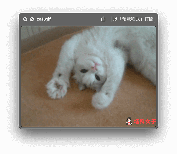 Mac 播放 GIF 動圖：按空白鍵