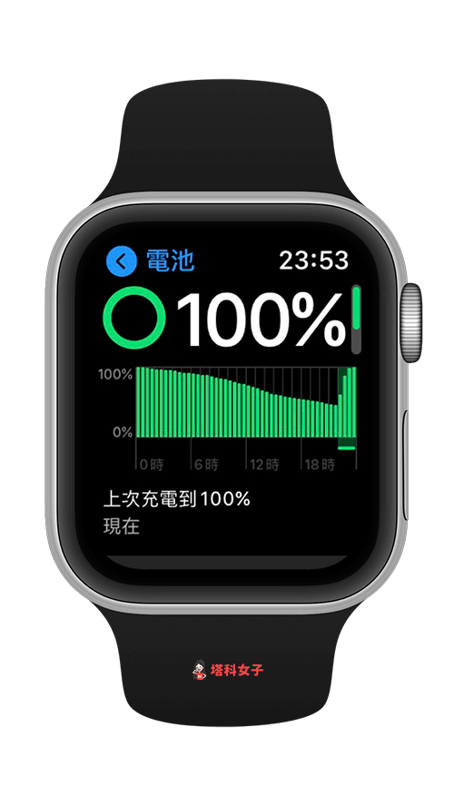 Apple Watch 電池健康度：電池使用情況