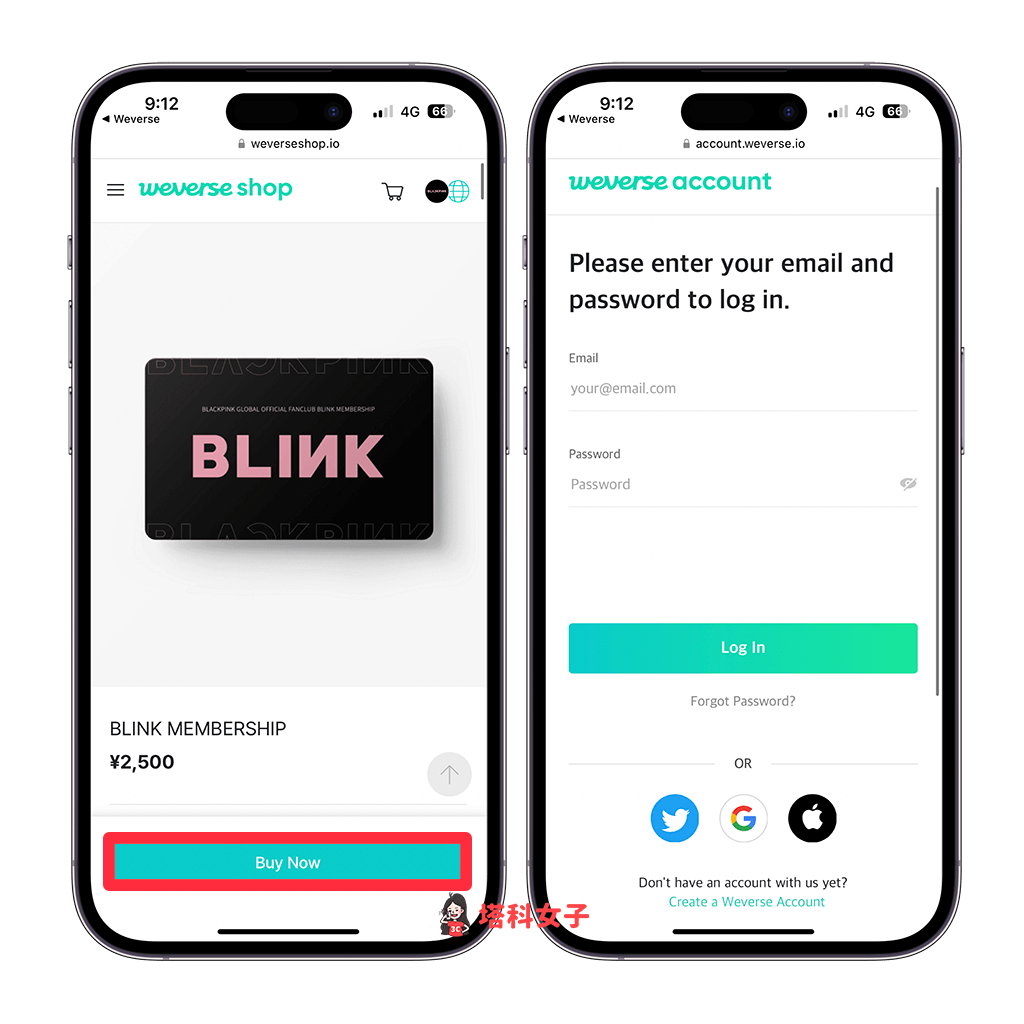 購買 BLINK MEMBERSHIP 會員：點選 Buy Now