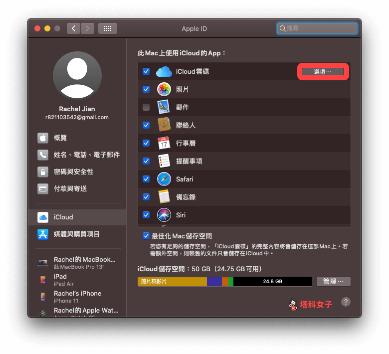 設定 Mac 上的 iCloud：iCloud 雲碟 > 選項