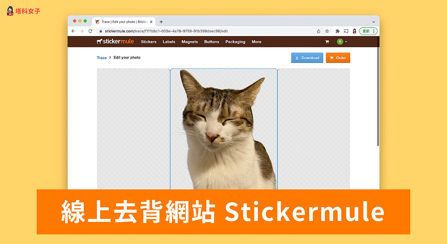 線上去背網站 Stickermule 一鍵為圖片去除背景，免費又好用