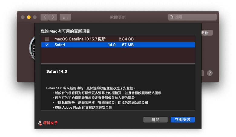 Safari 14 更新 立即安裝