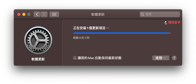 Safari 14 更新 立即安裝