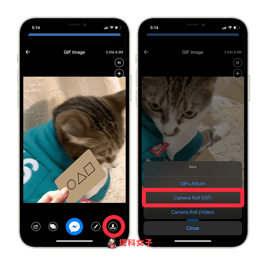 GIF 製作 APP「Video to GIF」：匯出 GIF